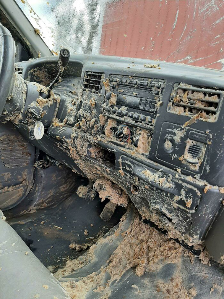 car owners bad days