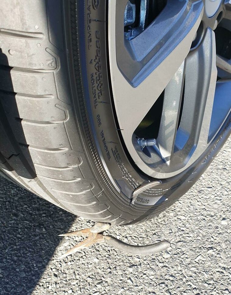 car owners bad days