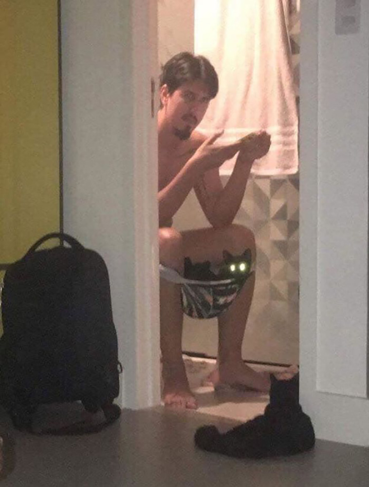 disrespecting cats