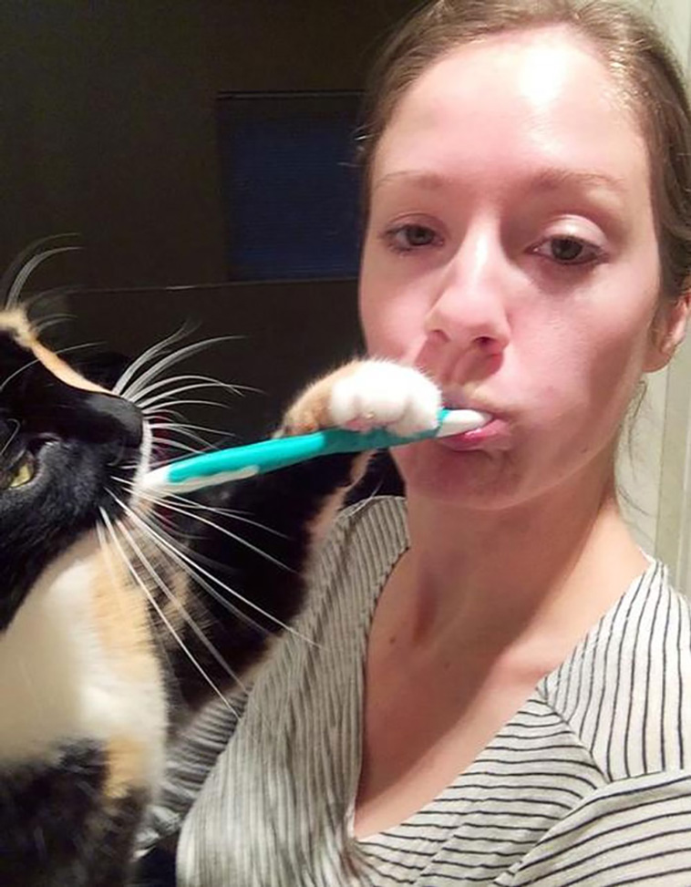 disrespecting cats