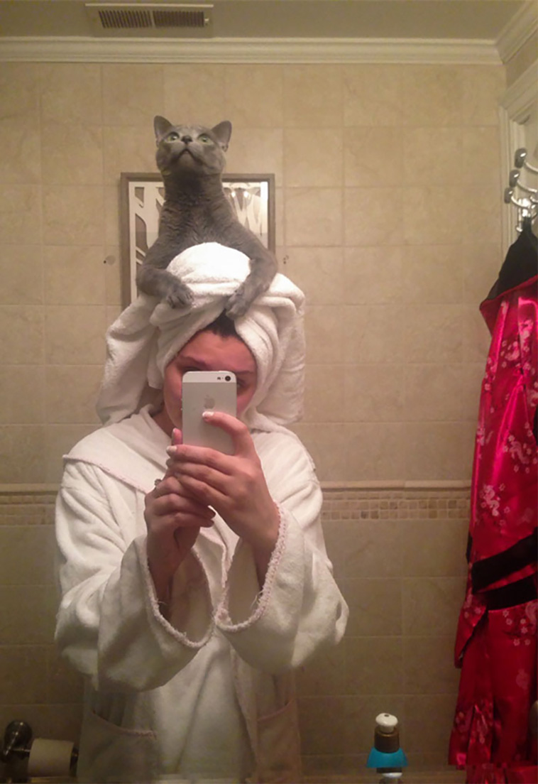 disrespecting cats