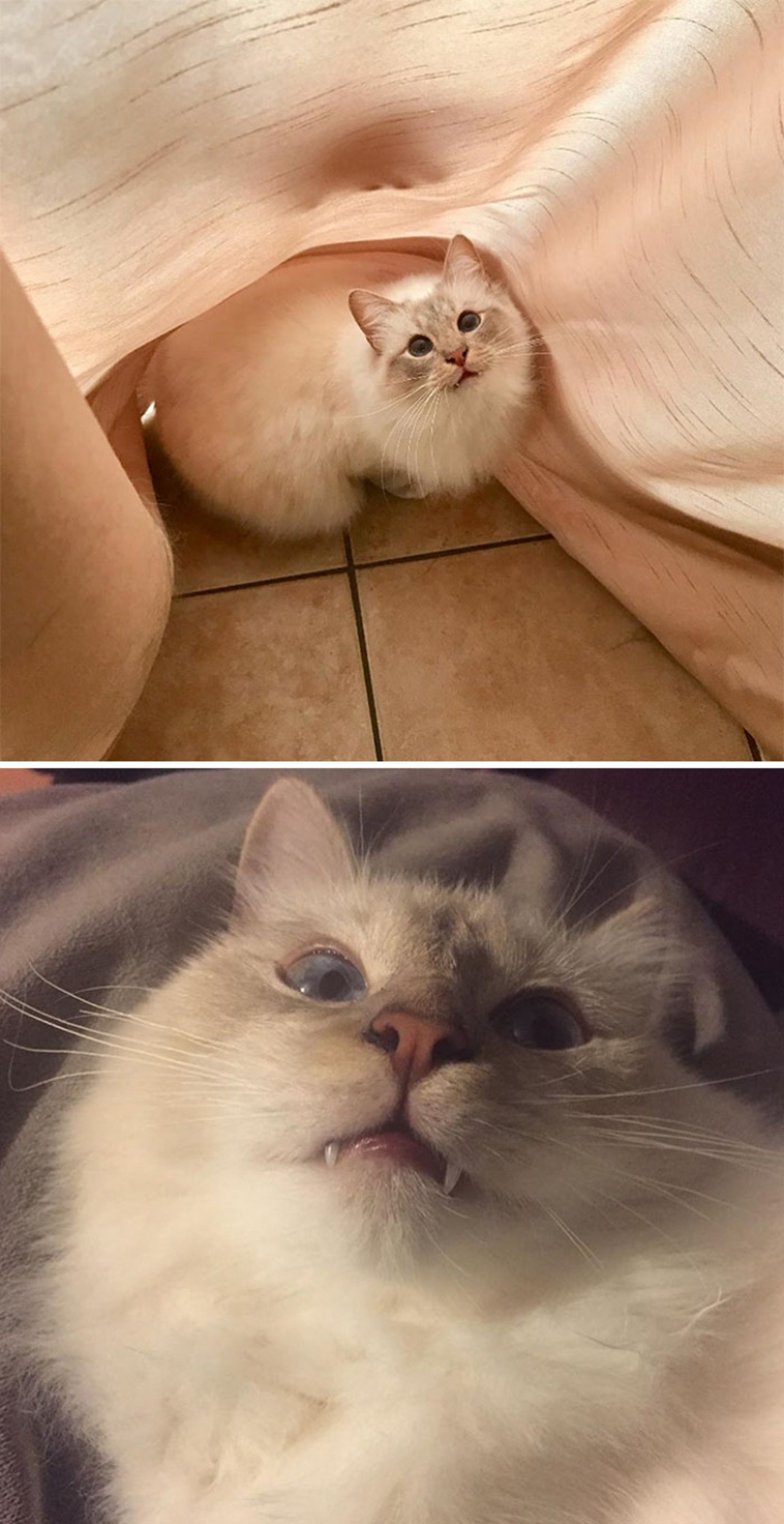 instagram and reality