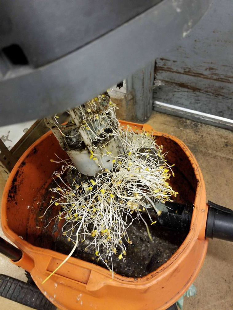 vacuum cleaning fails