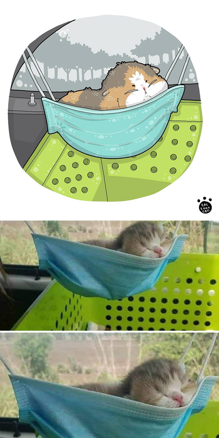 illustrated funny cat memes