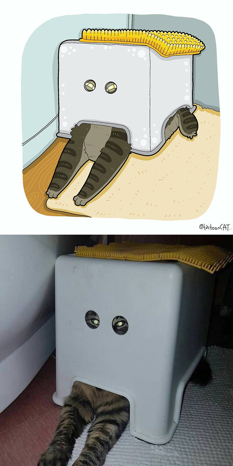illustrated funny cat memes