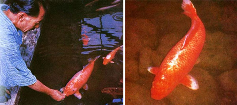 interesting pics