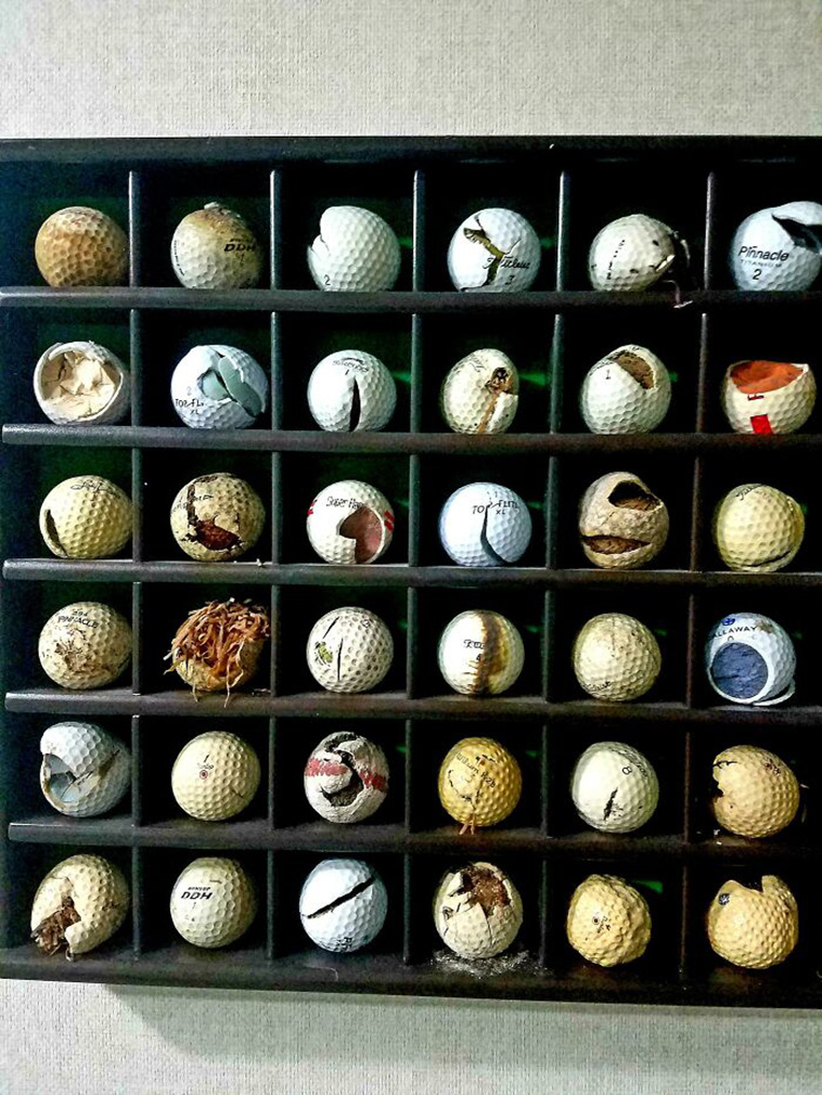 interesting collections