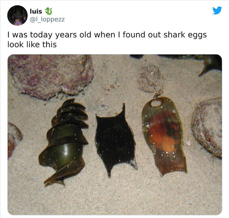 interesting things