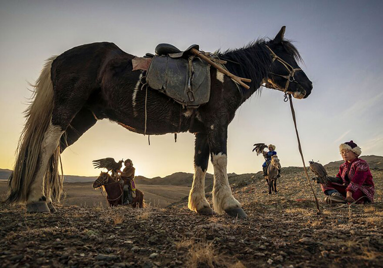 International Photography Awards