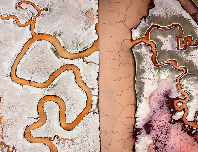 International Photography Awards 