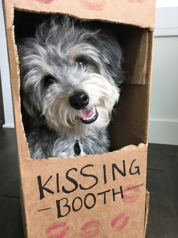 kissing booths