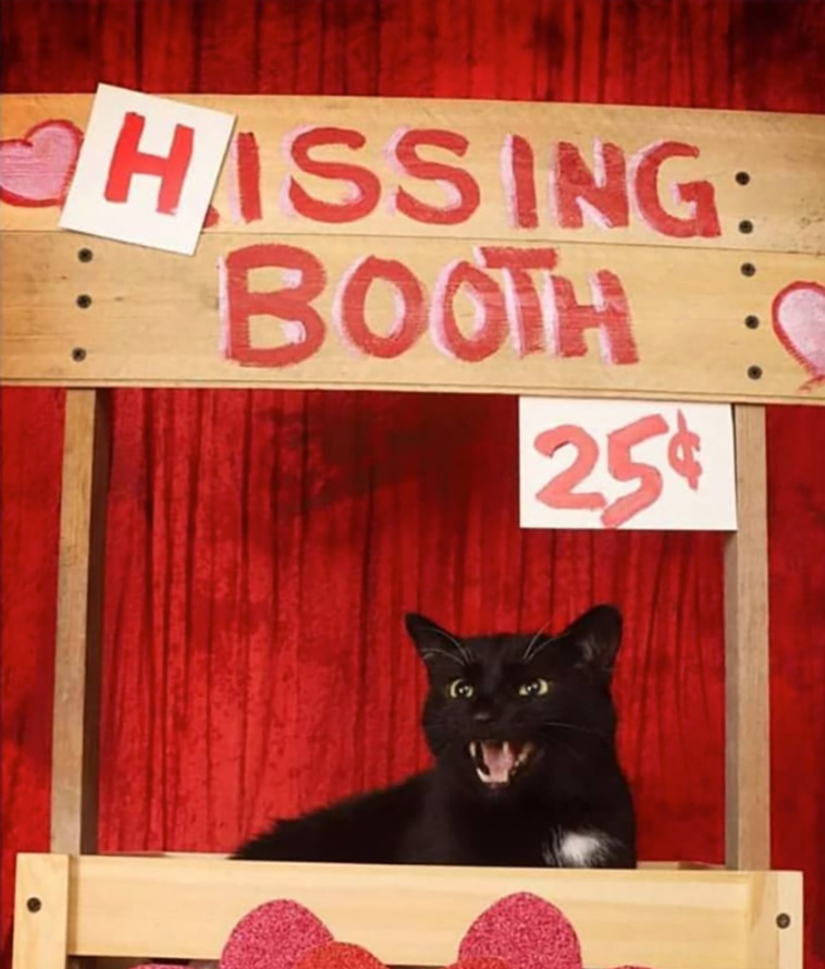 kissing booths