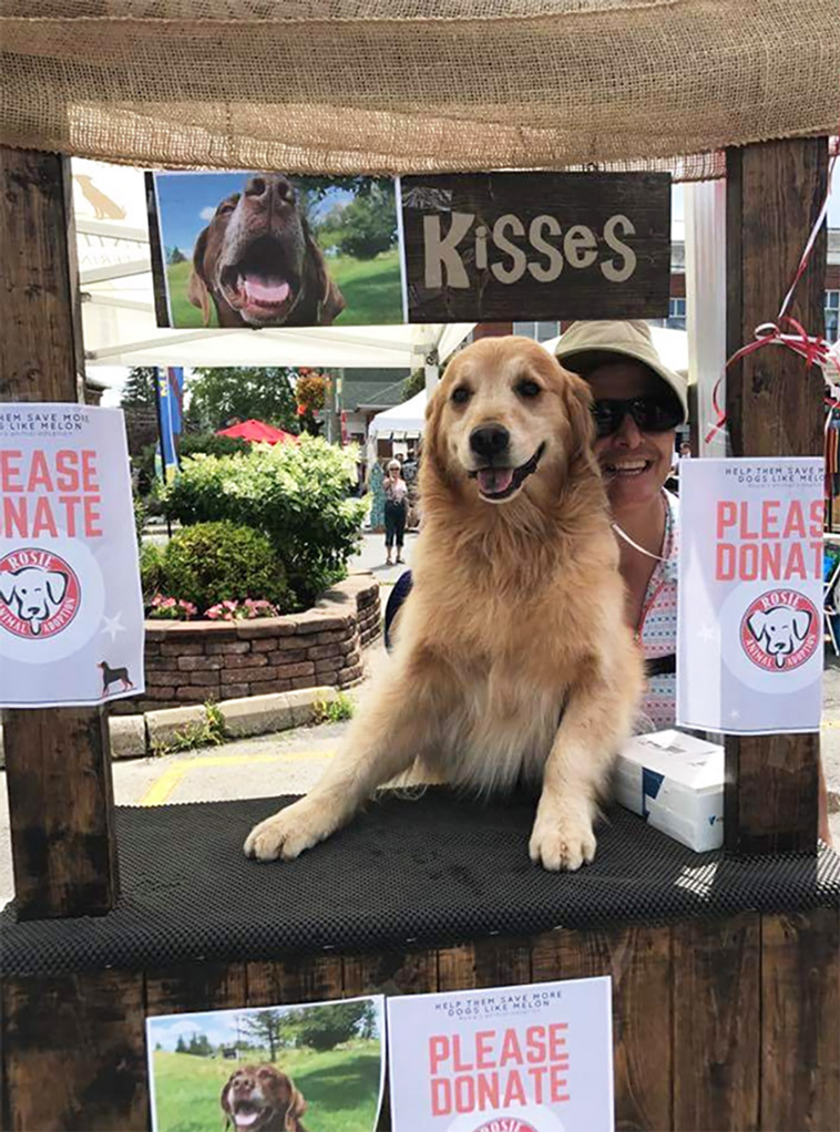 kissing booths