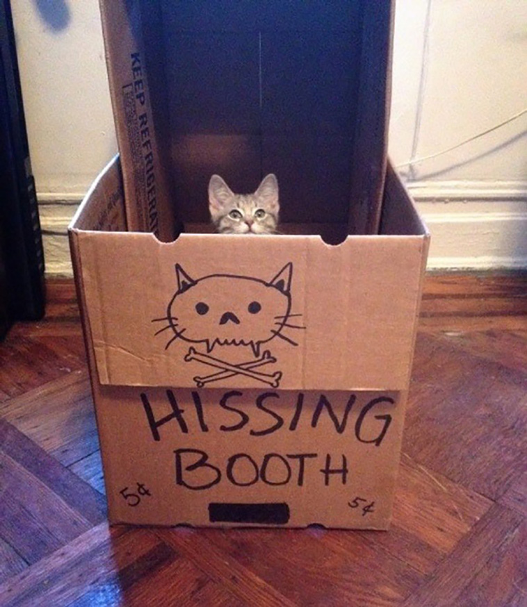 kissing booths