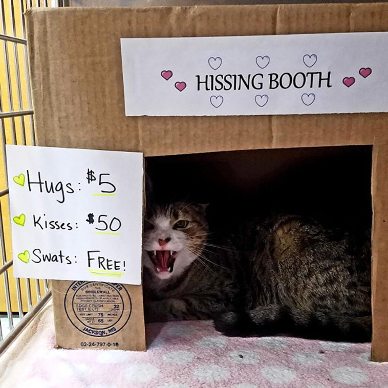 kissing booths
