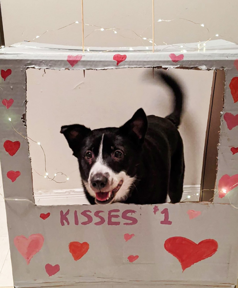 kissing booths