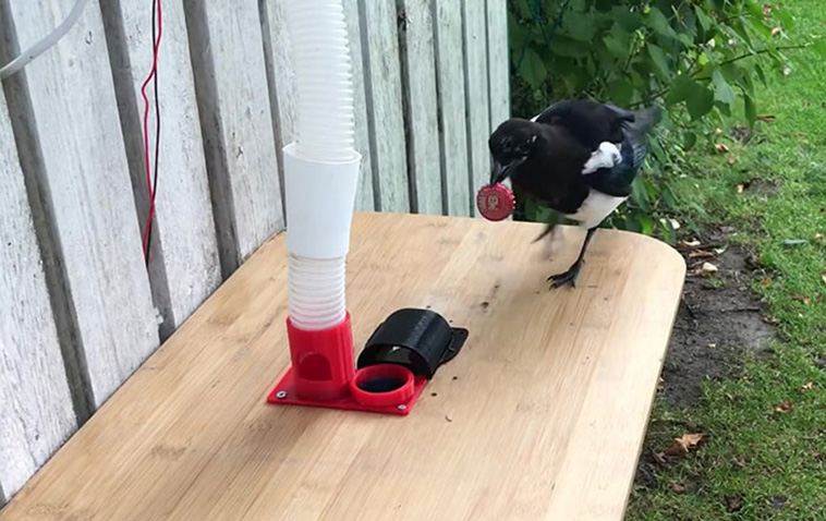 magpies recycling machine