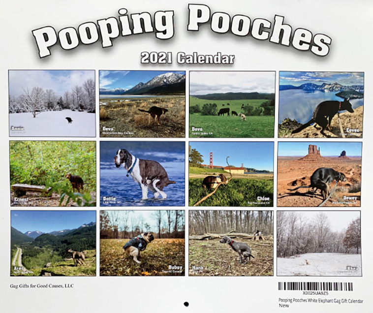 pooping dogs