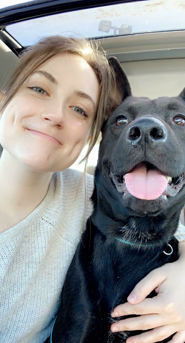 rescued pets