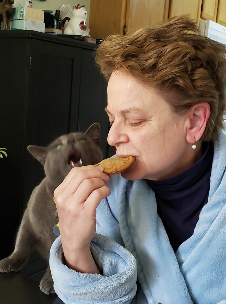 Funniest Cats