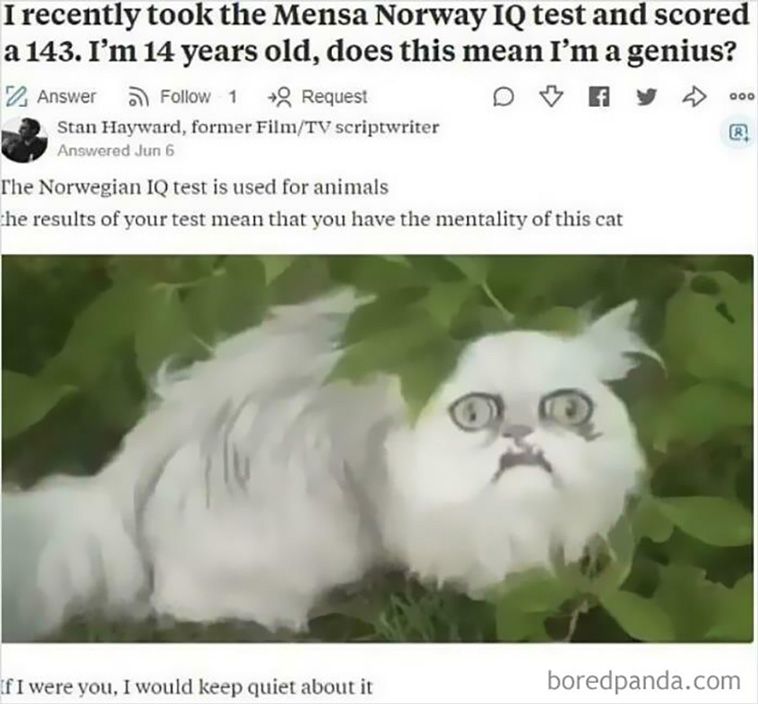 clever responds