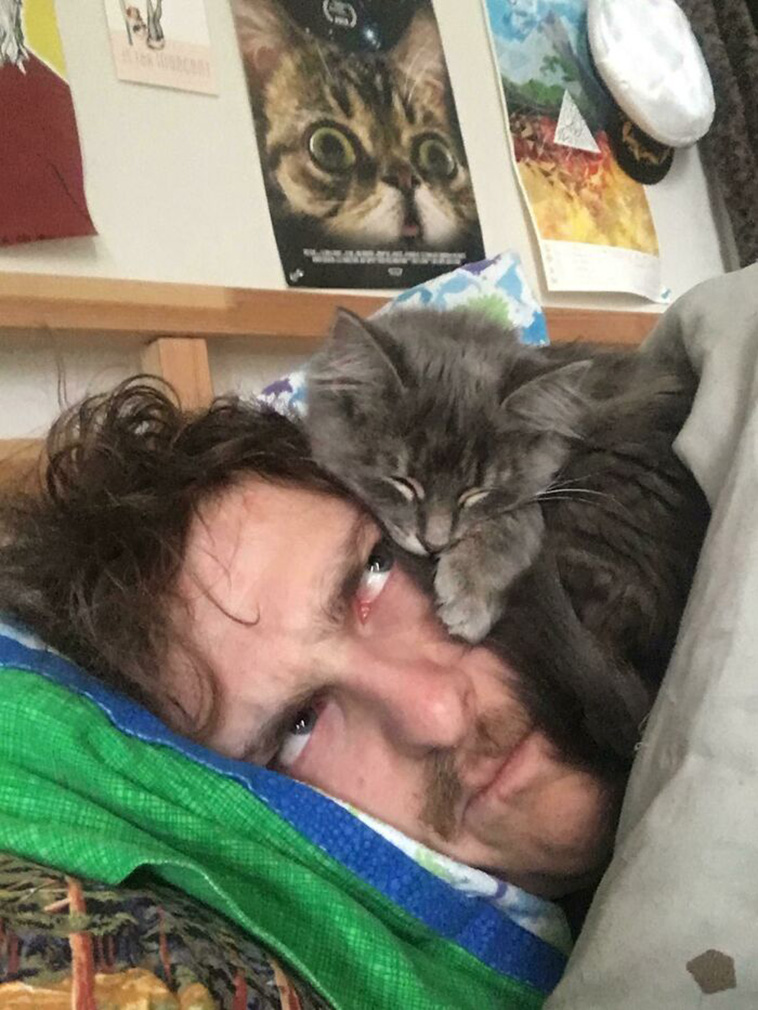 cats sleeping