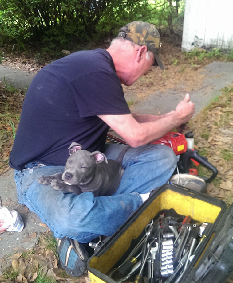 dads didnt want dogs