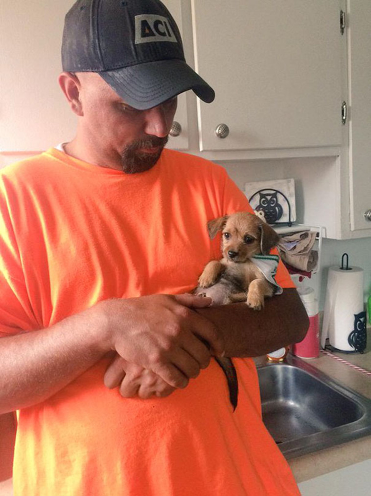 dads didnt want dogs