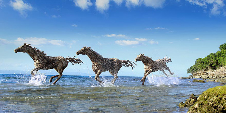 driftwood sculptures