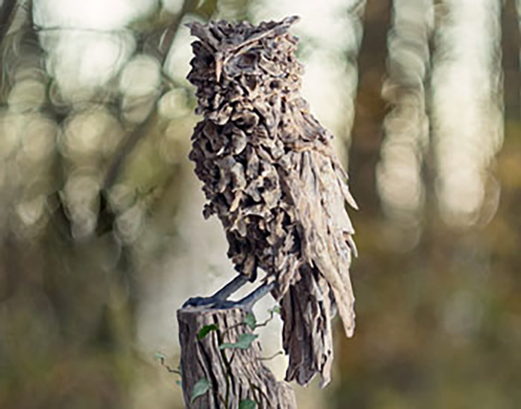 driftwood sculptures