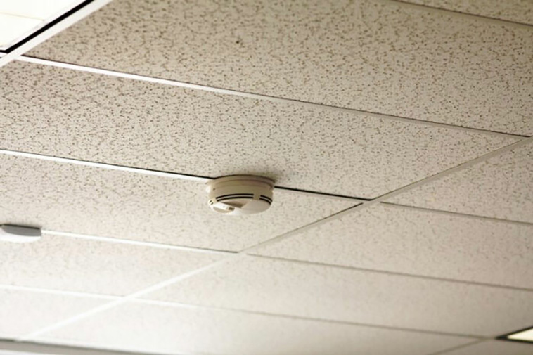 hidden cameras