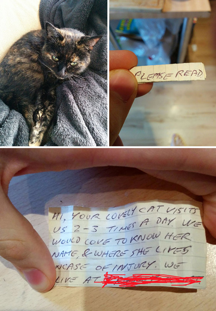 interesting finds