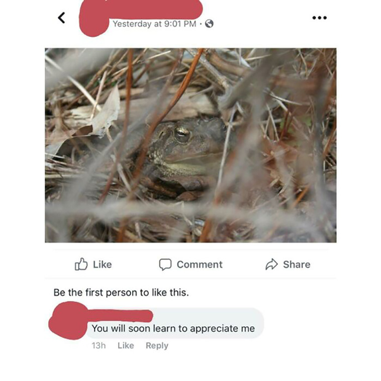 old people use social media