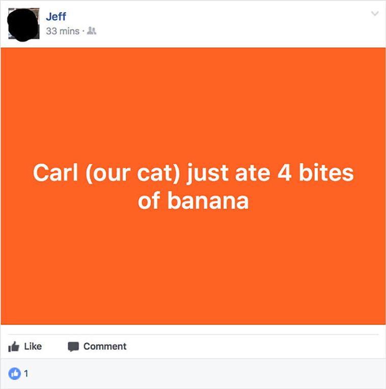 old people use social media