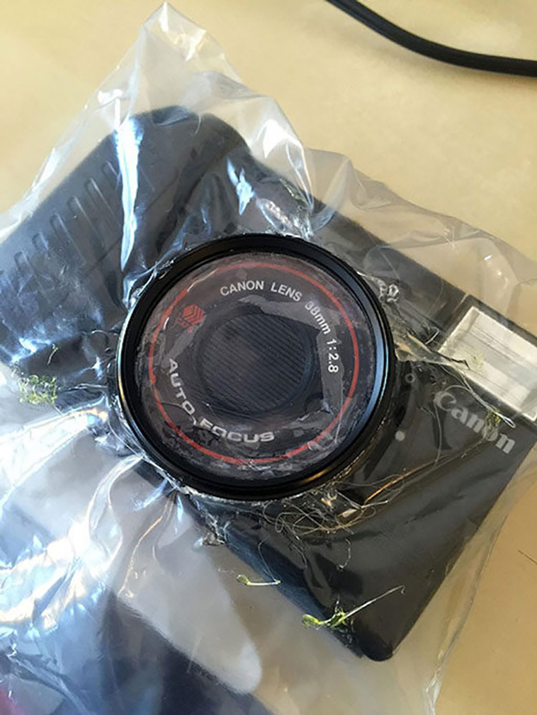one dollar camera