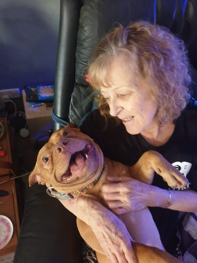 smiling dog