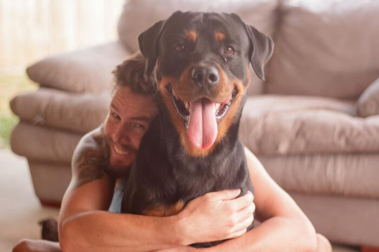 smiling dog