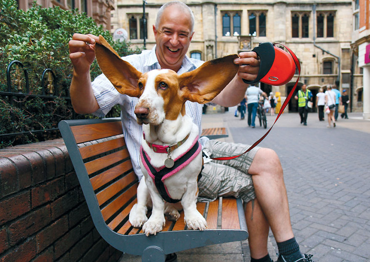 street photography dogs