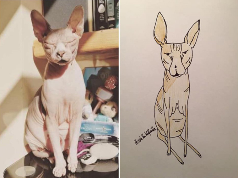 funny pet portraits