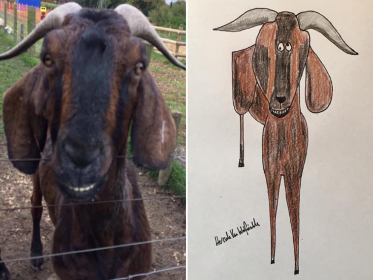 funny pet portraits