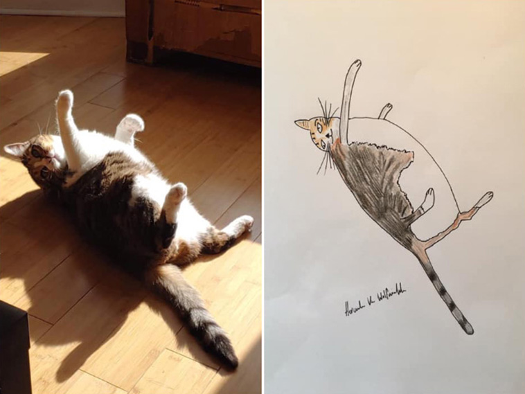 funny pet portraits