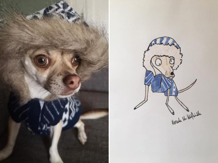 funny pet portraits