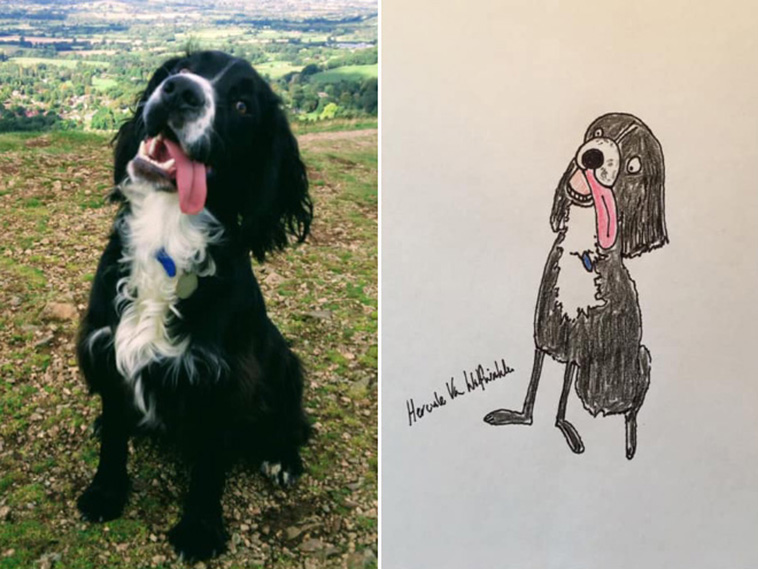 funny pet portraits