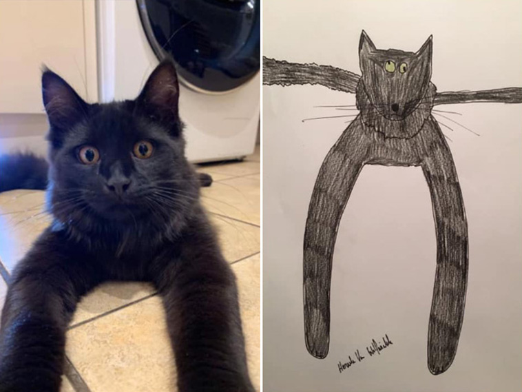 funny pet portraits