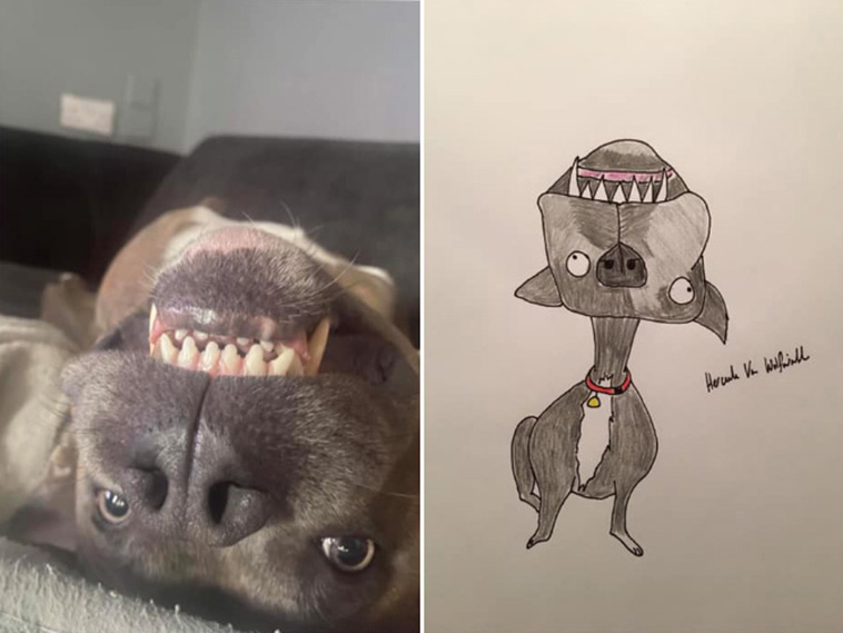 funny pet portraits