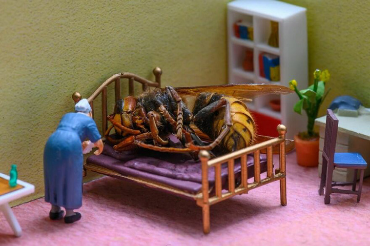 tiny worlds