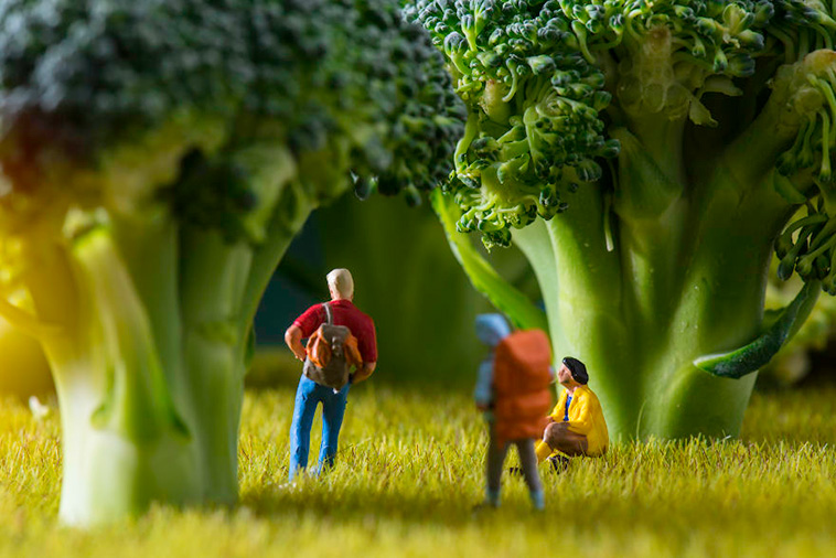 tiny world