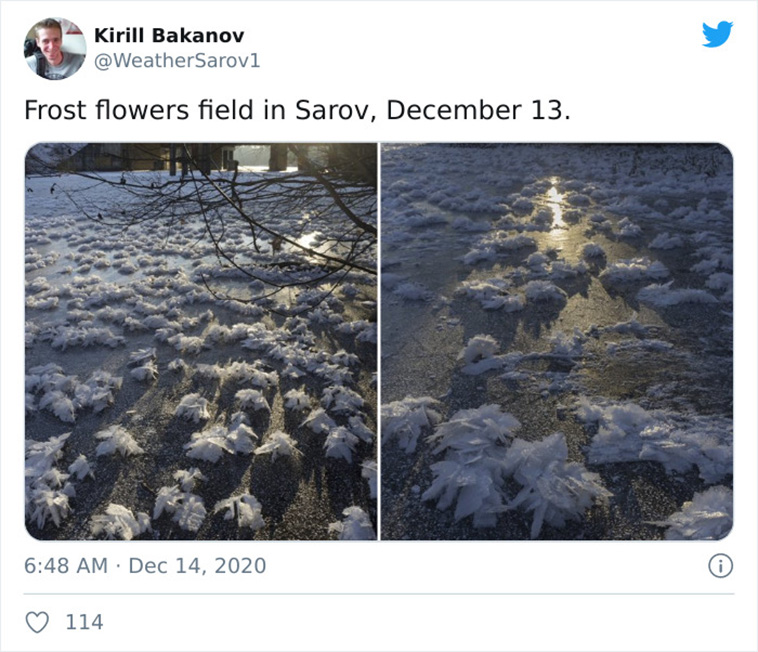weather news