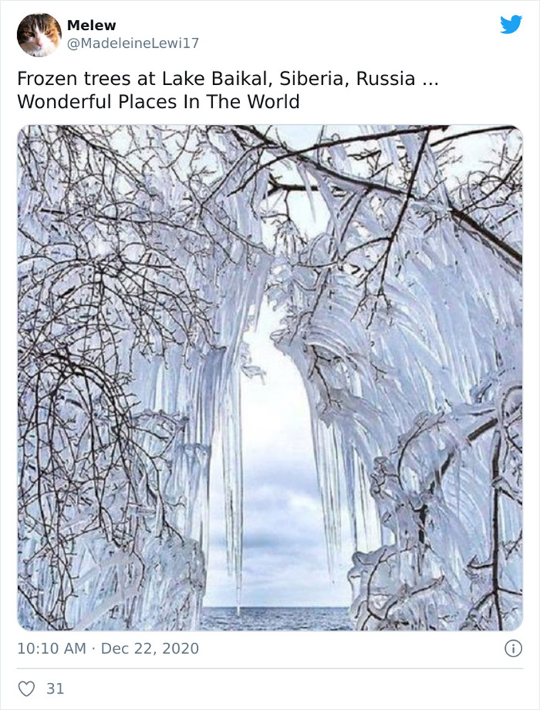 cold winter