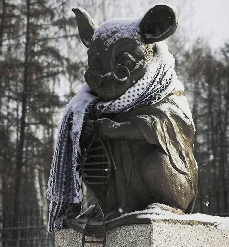 cold winter